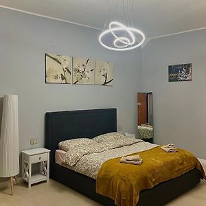 San Carlo 104